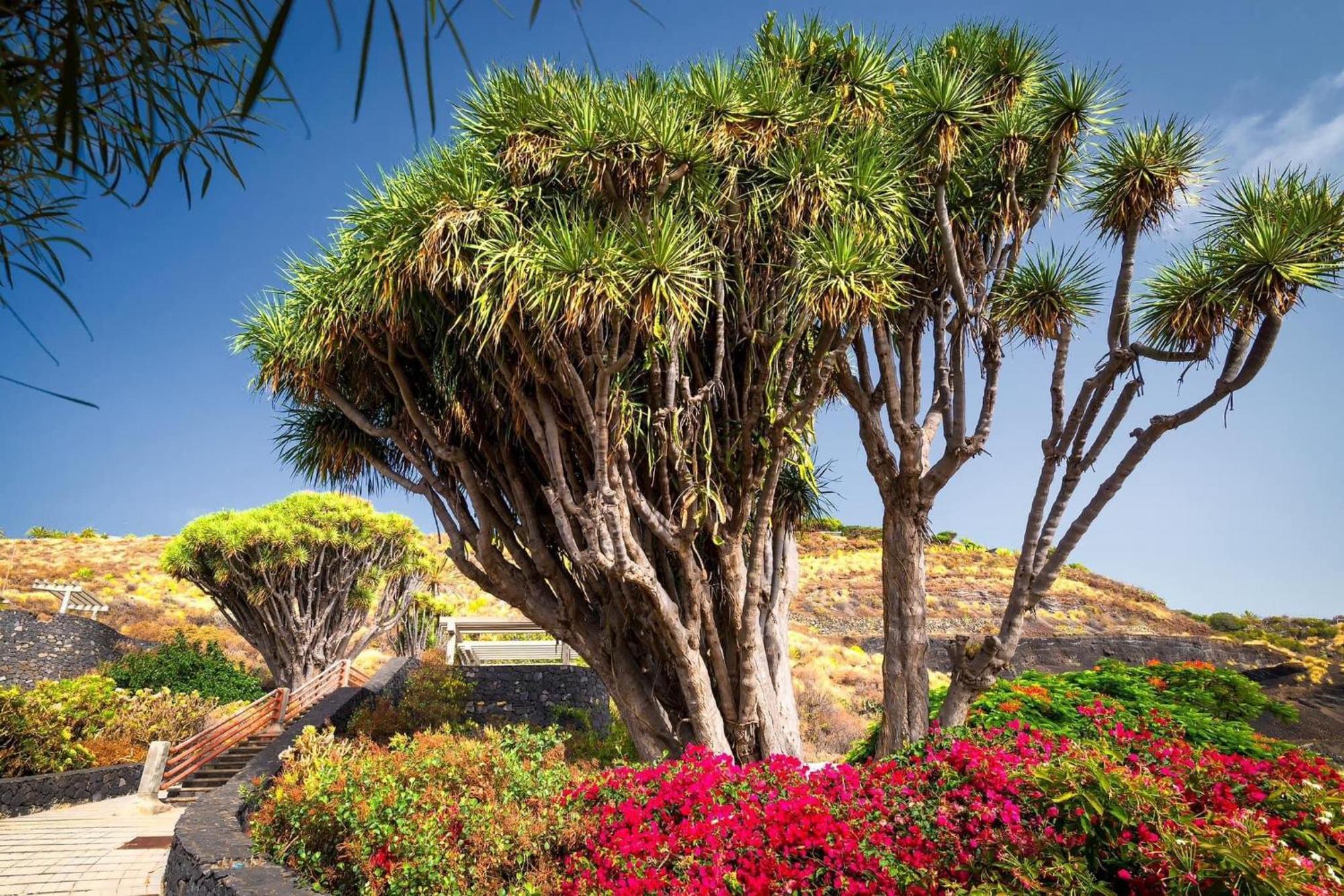 Casa Lucia Villa Breña Baja Eksteriør billede